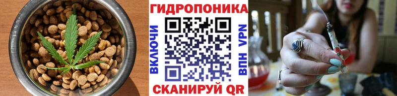 купить наркотики цена  Наволоки  Печенье с ТГК марихуана 