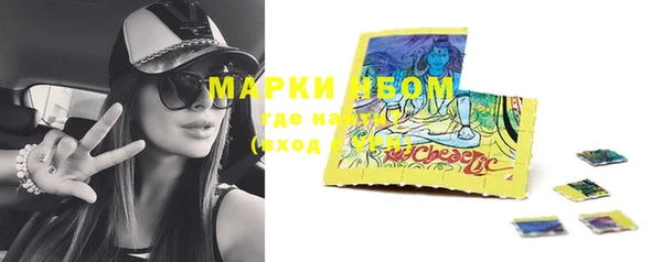 тгк Новозыбков