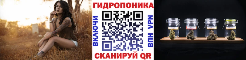 Марихуана SATIVA & INDICA  Наволоки 